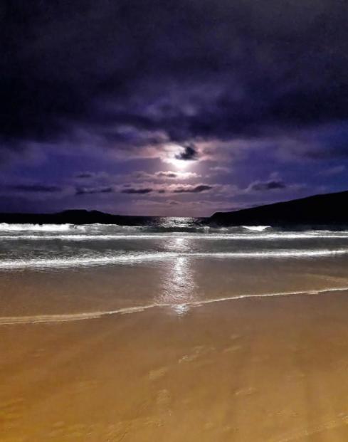 Apartamento Aconchegante A 200 Metros Da Praia Florianópolis Buitenkant foto